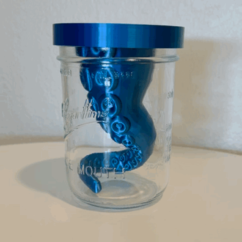 Self-Watering Octopus Wide Mouth Mason Jar Planter